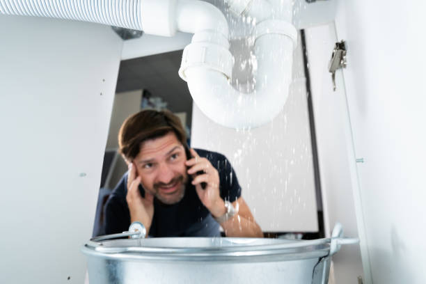 Best Drain Cleaning Services  in Tidmore Bend, AL