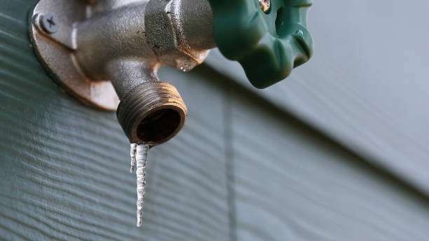 Best Local Plumber Services  in Tidmore Bend, AL