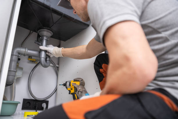 Best Clogged Drain Plumber  in Tidmore Bend, AL